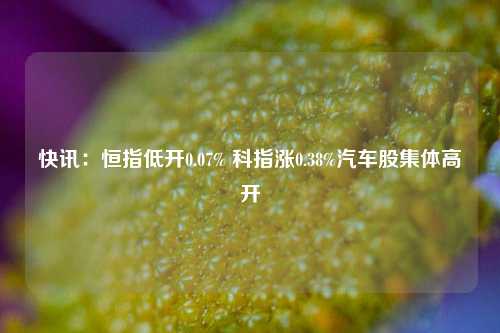 快讯：恒指低开0.07% 科指涨0.38%汽车股集体高开