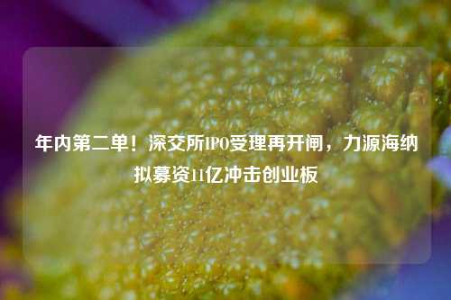 年内第二单！深交所IPO受理再开闸，力源海纳拟募资11亿冲击创业板