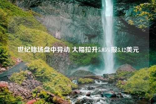 世纪赌场盘中异动 大幅拉升5.05%报3.12美元