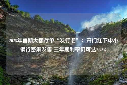 2025年首期大额存单“发行潮”：开门红下中小银行密集发售 三年期利率仍可达2.95%