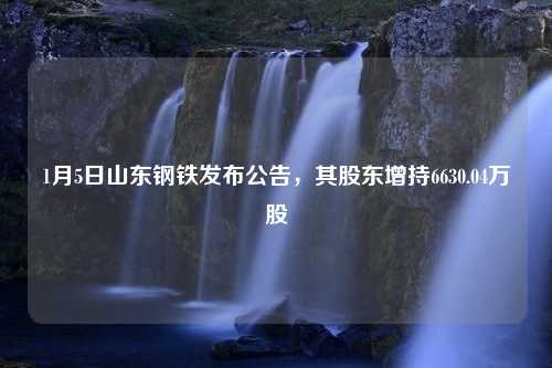 1月5日山东钢铁发布公告，其股东增持6630.04万股