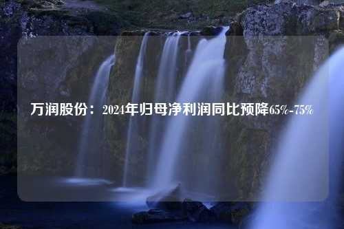 万润股份：2024年归母净利润同比预降65%-75%