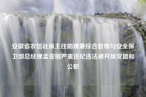 安徽省农信社原主任助理兼综合管理与安全保卫部总经理孟亚明严重违纪违法被开除党籍和公职