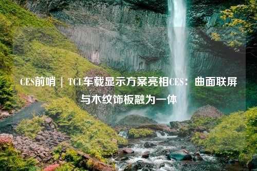 CES前哨 | TCL车载显示方案亮相CES：曲面联屏与木纹饰板融为一体