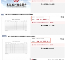 股权多次流拍背后：经营质效难露喜色 武汉农商行负重前行