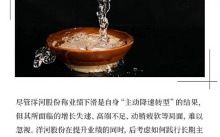 丢掉“白酒老三”，洋河股份彻底输了？